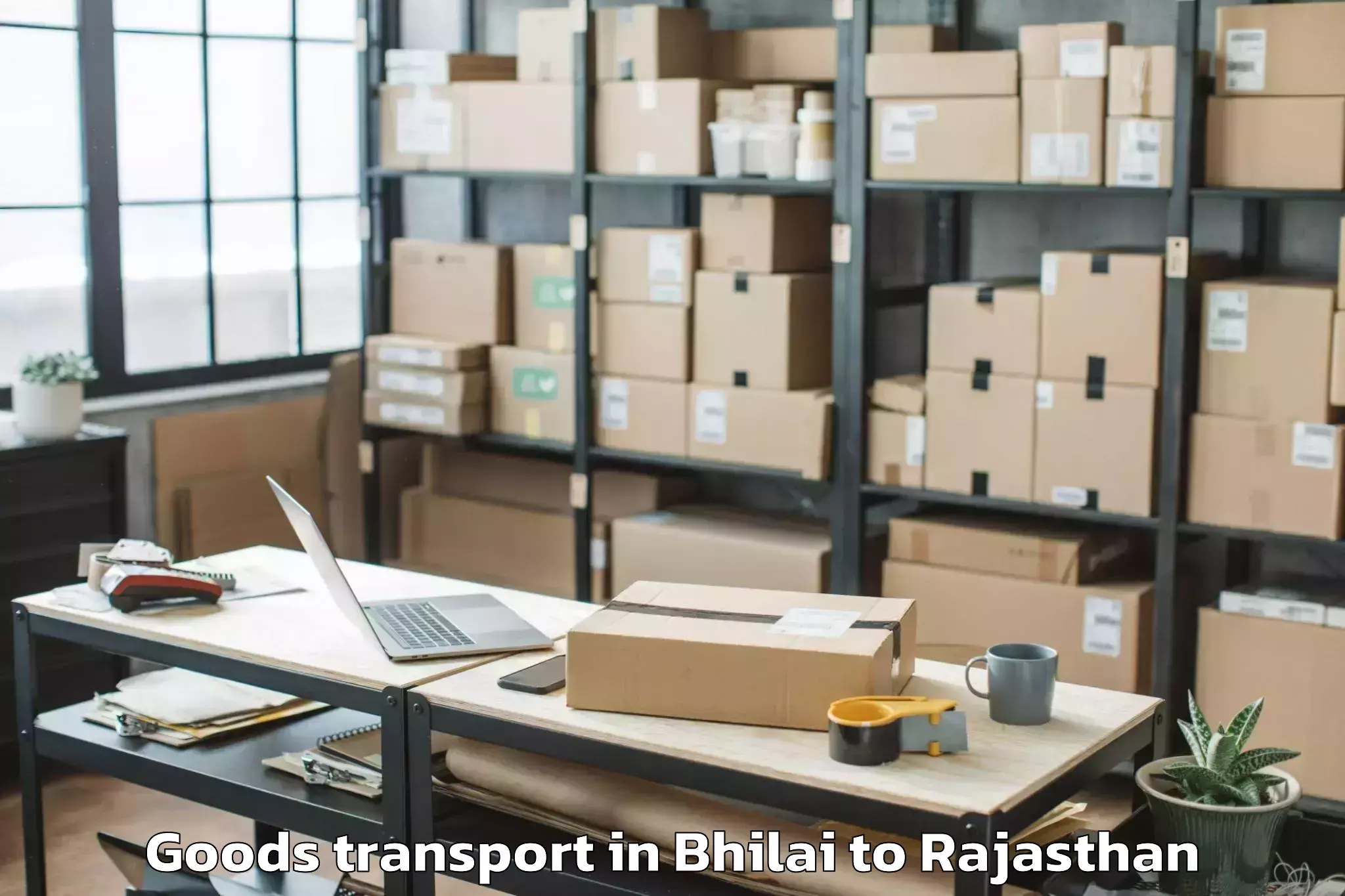 Top Bhilai to Mahwa Goods Transport Available